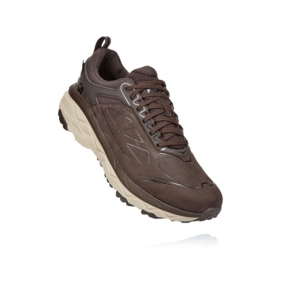 Hoka Challenger Low GORE-TEX Men's Hiking Shoes Brown / White | IL81230RP