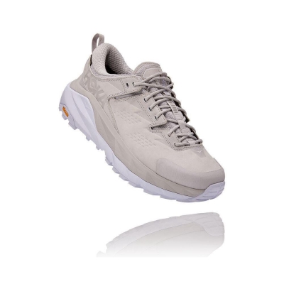 Hoka Kaha Low GTX Men's Lifestyle Shoes Grey | IL31587ST