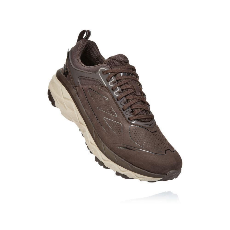 Hoka Challenger Low GORE-TEX Men\'s Hiking Shoes Brown / White | IL81230RP