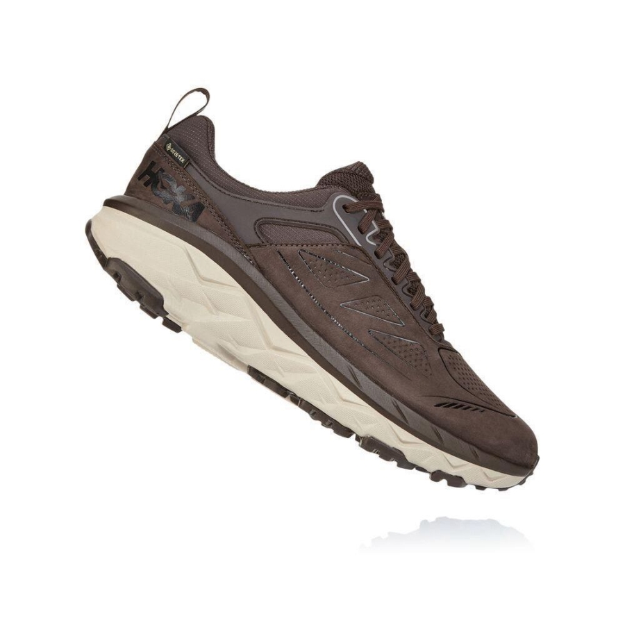 Hoka Challenger Low GORE-TEX Men's Running Shoes Brown / White | IL92463WA