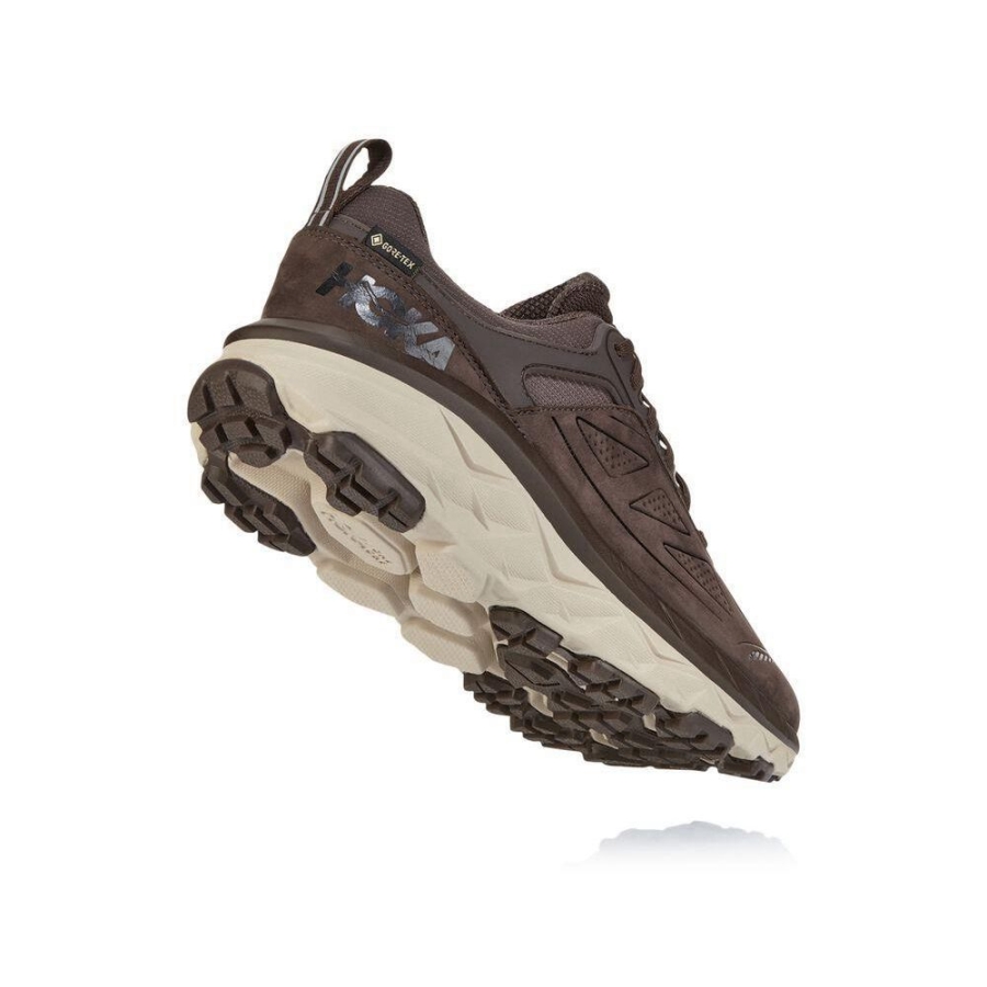 Hoka Challenger Low GORE-TEX Men's Running Shoes Brown / White | IL92463WA