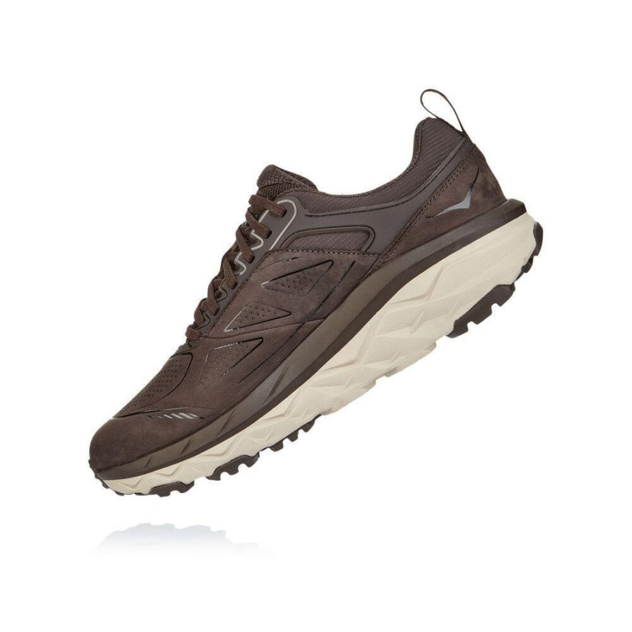 Hoka Challenger Low GORE-TEX Men's Running Shoes Brown / White | IL92463WA