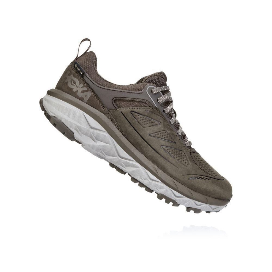 Hoka Challenger Low GORE-TEX Women's Trail Running Shoes Brown | IL41357SU