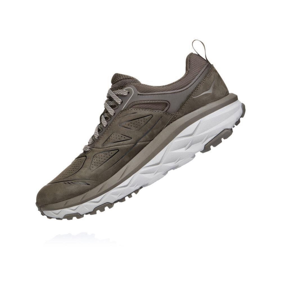 Hoka Challenger Low GORE-TEX Women's Trail Running Shoes Brown | IL41357SU